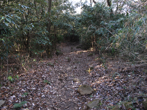 20131223hike (107)